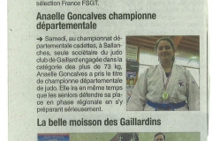 ARTICLE_SALLANCHES